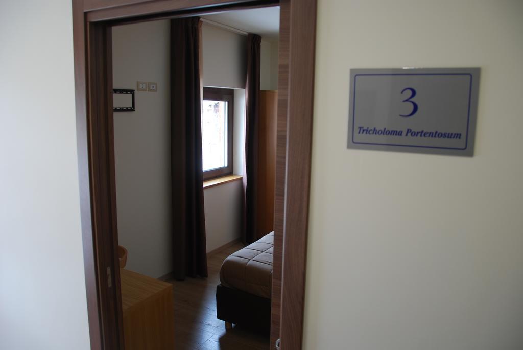 Guest House Caracas Lorica Dış mekan fotoğraf